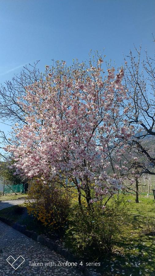 الشقق الفندقية لاغوندوفي  Unterdornerhof المظهر الخارجي الصورة